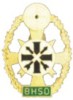 Ehrenkreuz des Sports in Gold